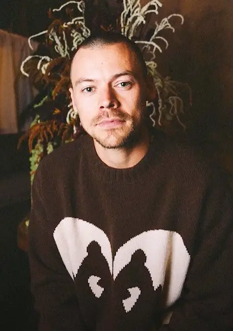 Harry Styles' 